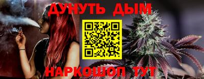 шишки Ставрополь