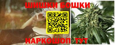 шишки Ставрополь