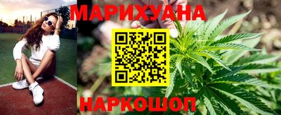 шишки Ставрополь