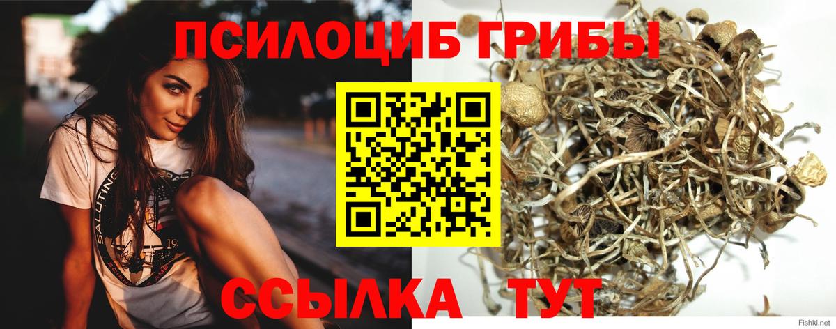Псилоцибиновые грибы мухоморы Нурлат