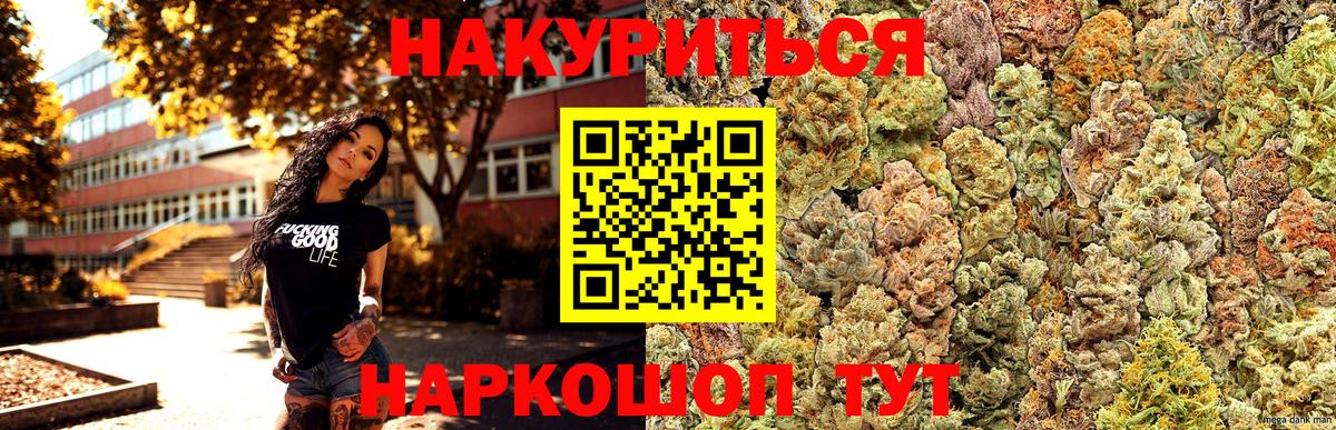 Бошки Шишки тримм  Вход с VPN  Каннабис планчик  Марихуана сатива  Нурлат 